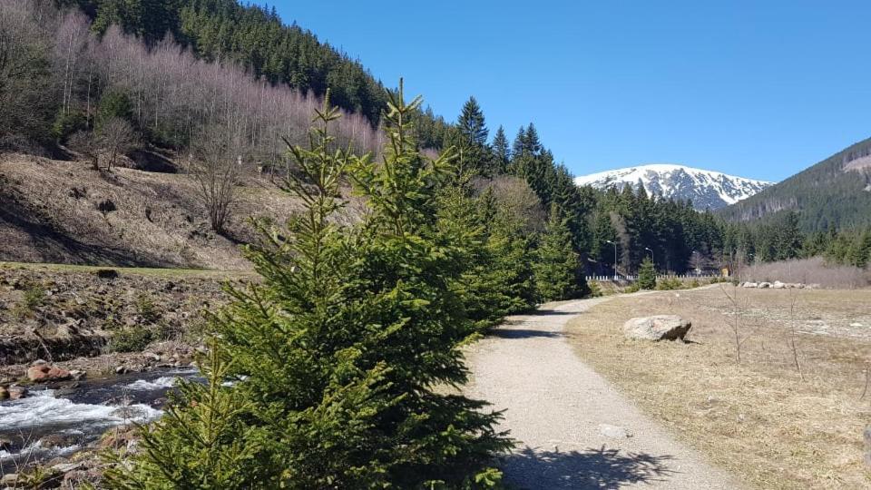 Ubytovani V Soukromi - Apartman Meran Svoboda nad Upou Exterior photo